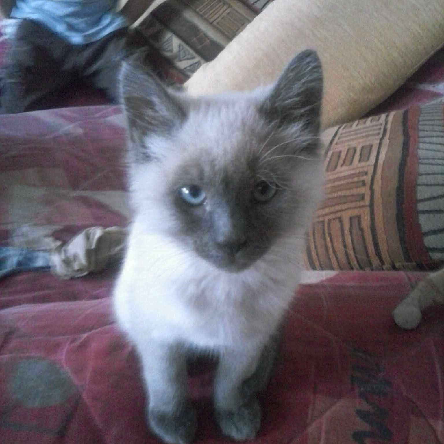 Maya a rejoint le concours — aidez-le/la à gagner de superbes lots !