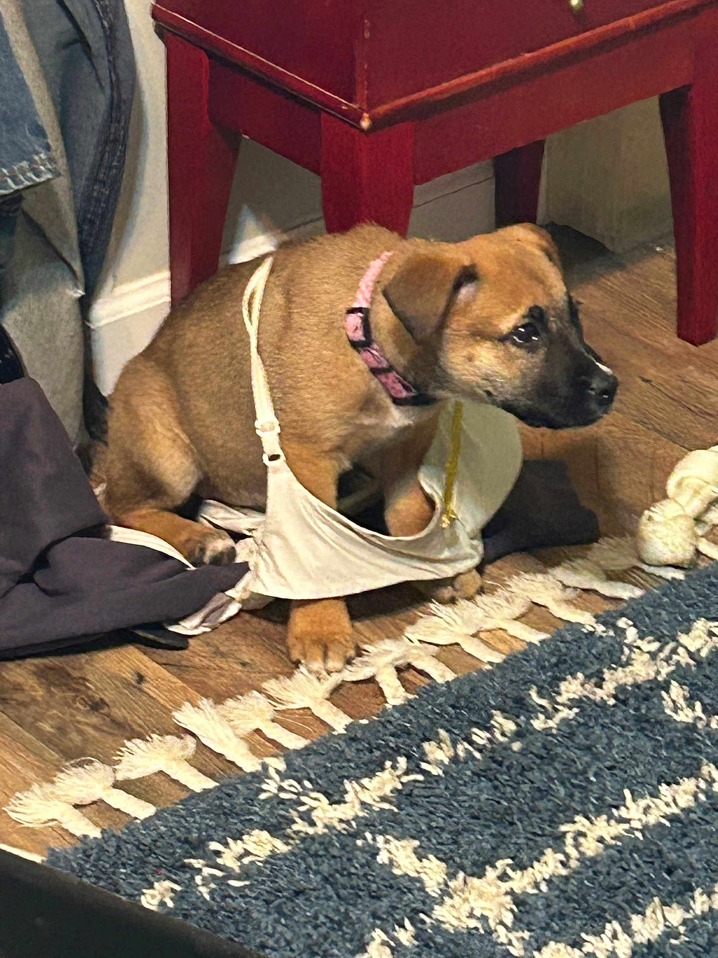 Lucy