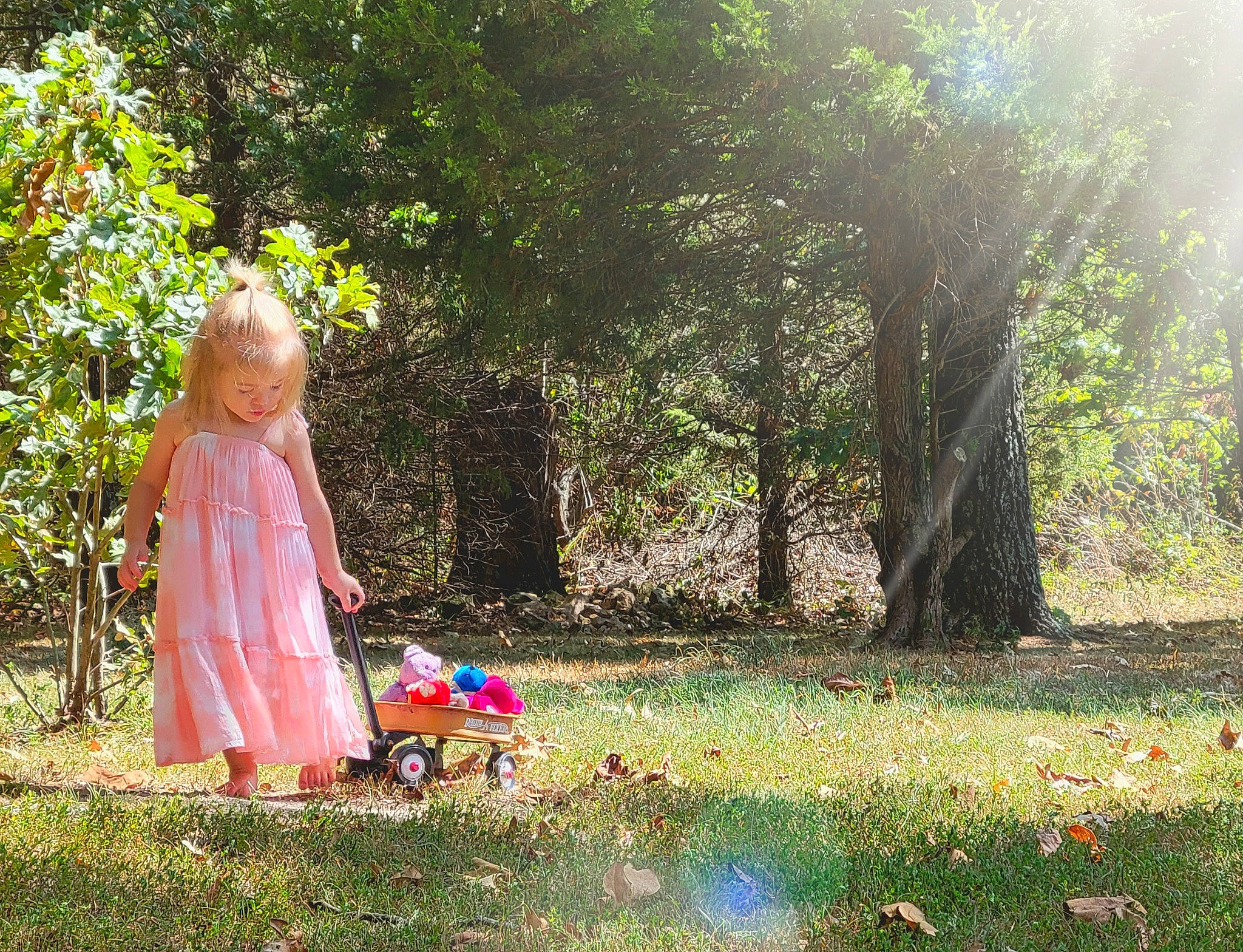 Madelynn is registered to the contest to win money with this photo: branch, forest, fun, grass, happy, lawn, leisure, meadow, natural_landscape, people_in_nature, person, plant, recreation, shrub, summer, sunlight, tints_and_shades, toddler, tree, wheel