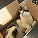 Theo