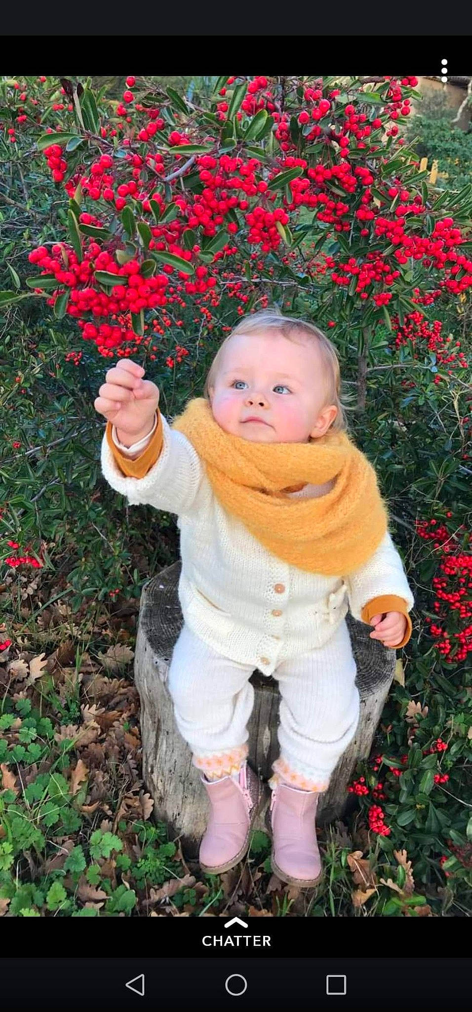 Léa participe au concours pour gagner de l'argent avec cette photo : autumn, baby, botany, child, flower, garden, grass, leaf, person, pink, plant, red, shrub, smile, toddler, tree