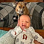 Mary Jane is registered to the contest to win money with this photo: baby, dog, indoor, rug, person, onesie, hand, floor, sweater, wood_floor, footwear, sitting, patterned_rug, brown_dog, newborn, curious, watching, cute, cozy, companion