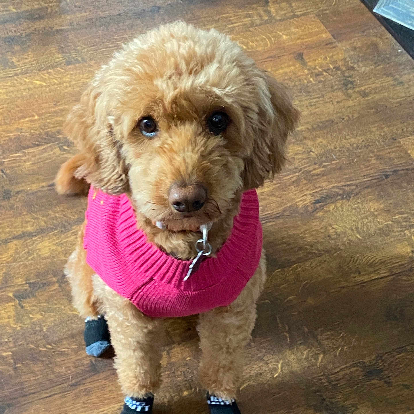 Gracie Mae