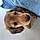 Maxie
