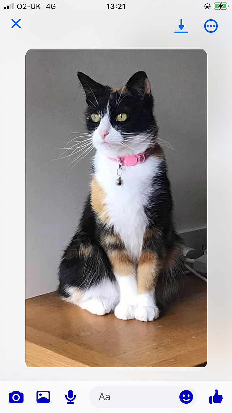 Suzie