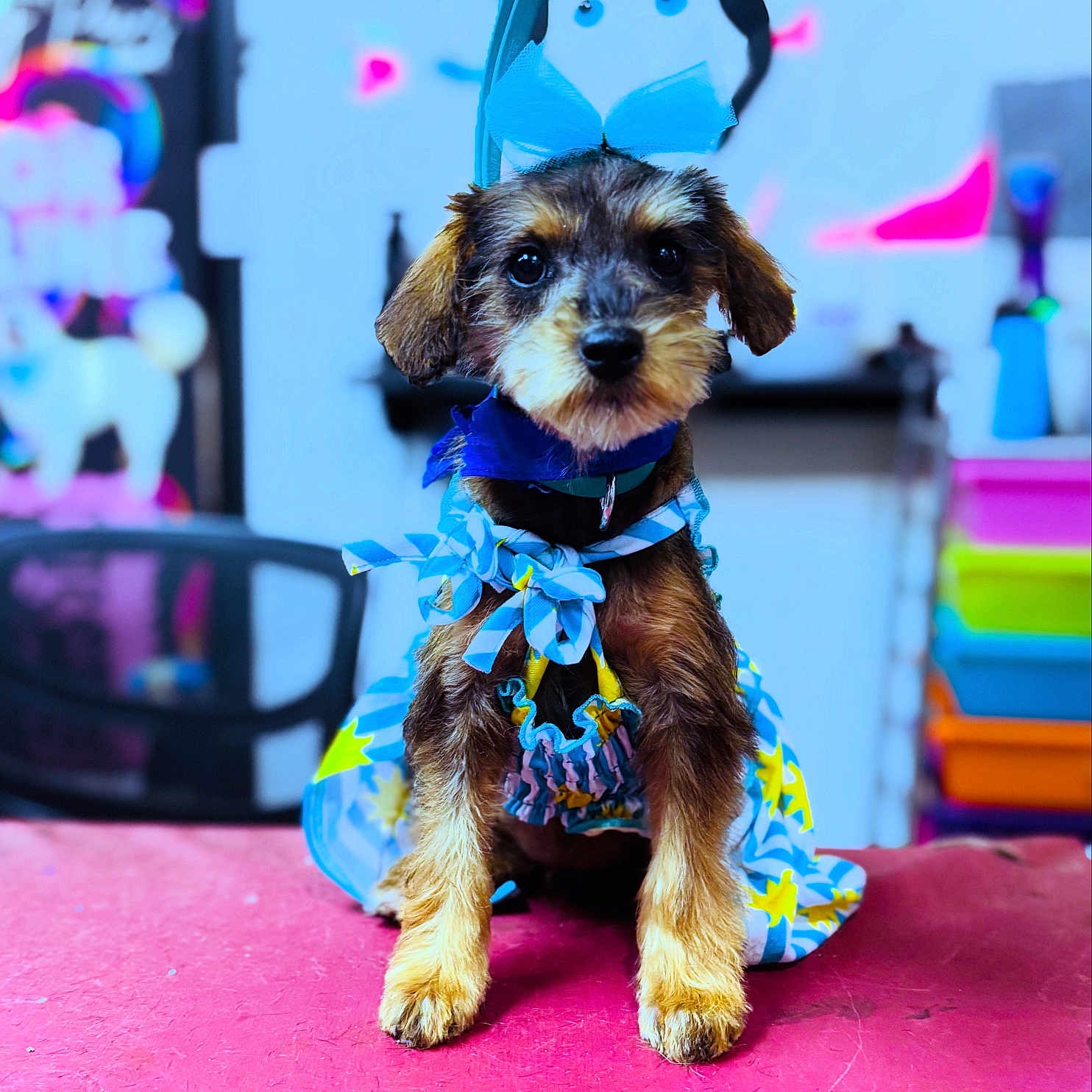 Princess