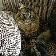 Charlie joined the competition — help win amazing prizes!