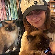 Bellamy is registered to the contest to win money with this photo: blue_eyes, books, bookshelf, brown_cat, cap, casual, cat, cozy, cute, fluffy_cat, furniture, headwear, holding, home, indoor, person, pet, sitting, smile, watch