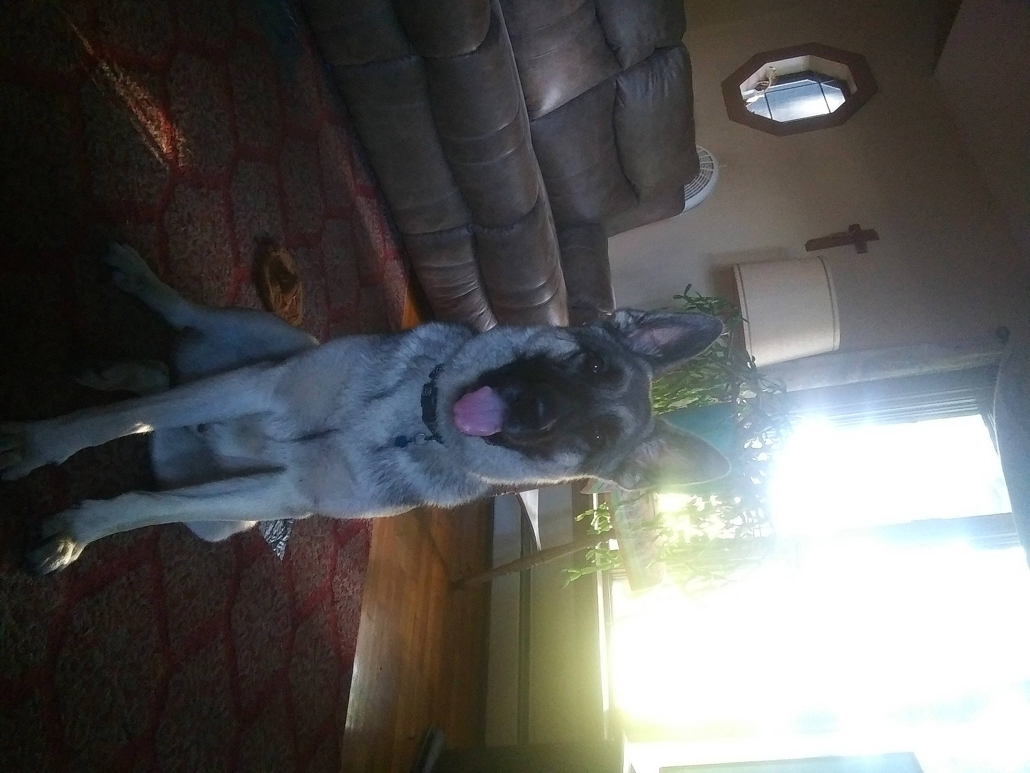 Prince is registered to the contest to win money with this photo: auto_part, automotive_lighting, ceiling, darkness, dress, elbow, flesh, fun, human_leg, machine, night, room, sky, space, tints_and_shades, tree, window, wood