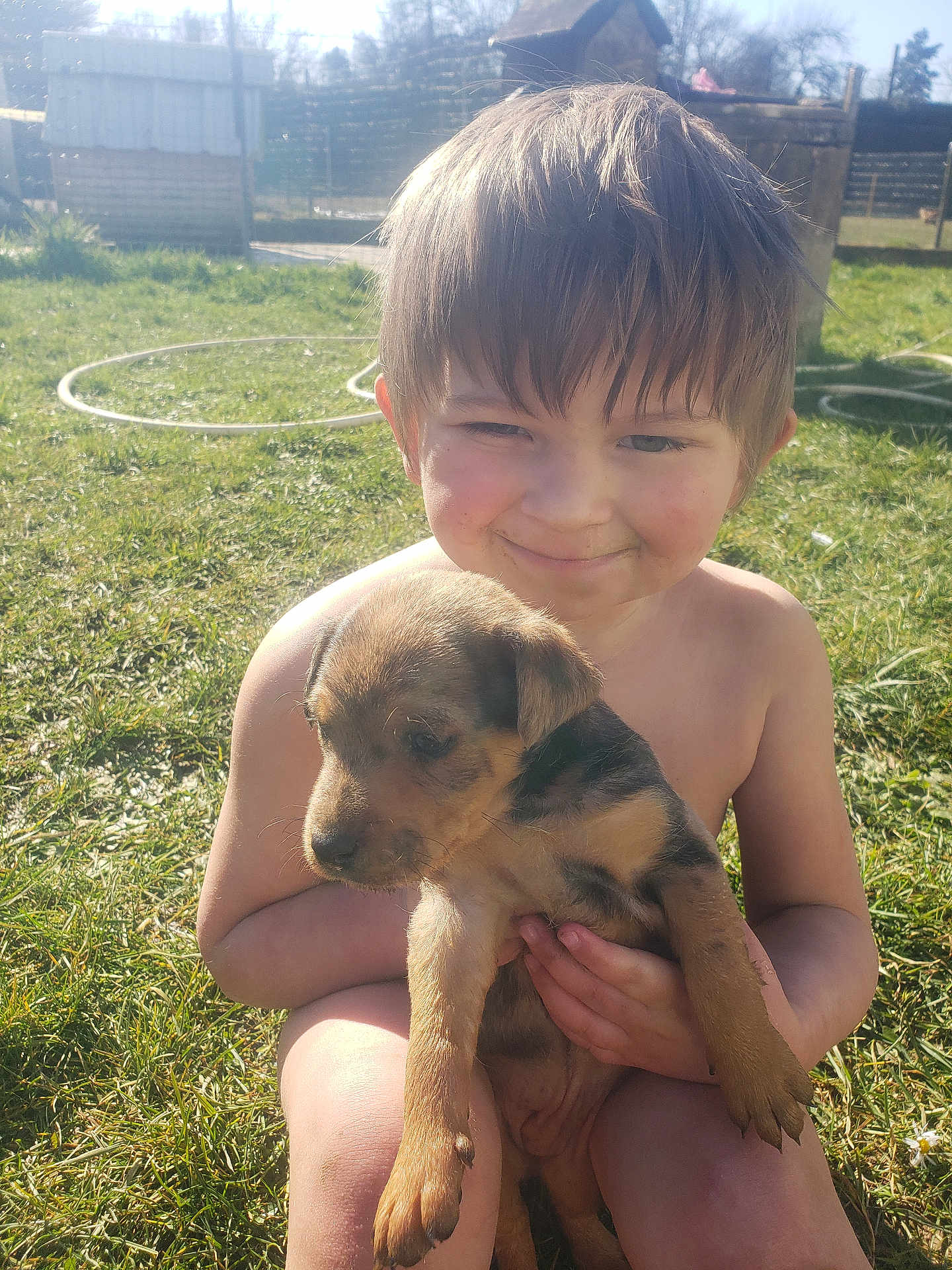 Claude participe au concours pour gagner de l'argent avec cette photo : animal, backyard, bare_chested, boy, child, cute, daylight, friendship, grass, happy, holding, nature, outdoor, pet, playful, puppy, smiling, summer, sunlight, young