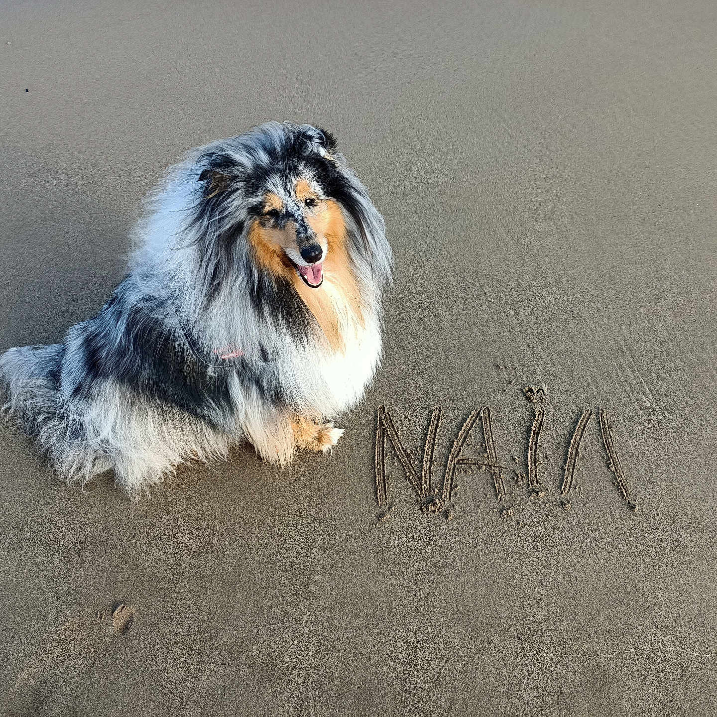 Naïa