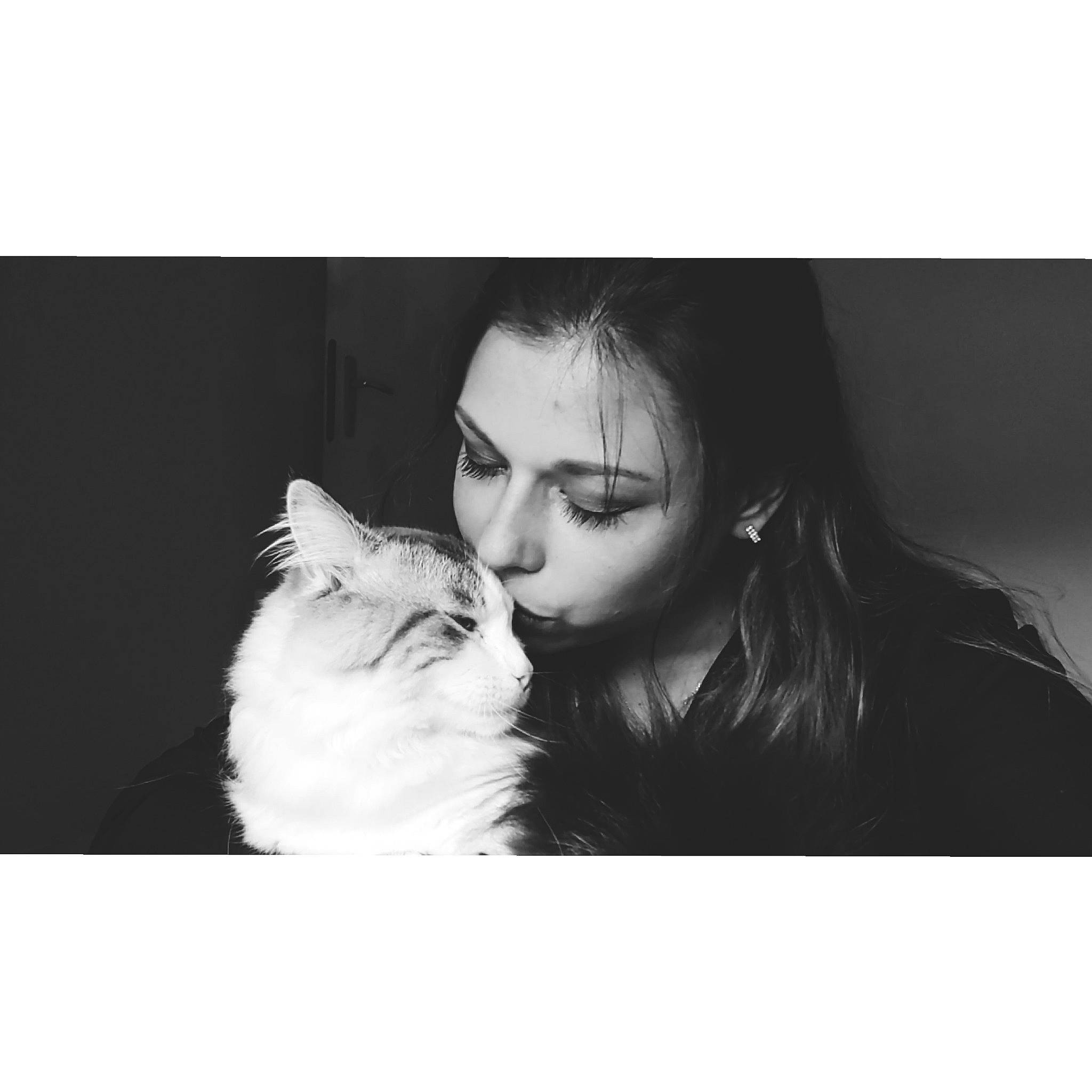 Tchoupi participe au concours pour gagner de l'argent avec cette photo : carnivore, cat, comfort, companion_dog, felidae, flash_photography, formal_wear, fur, gesture, happy, love, monochrome, monochrome_photography, paw, photo_caption, portrait_photography, romance, small_to_medium_sized_cats, stock_photography, whiskers