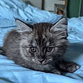 Lucie B.