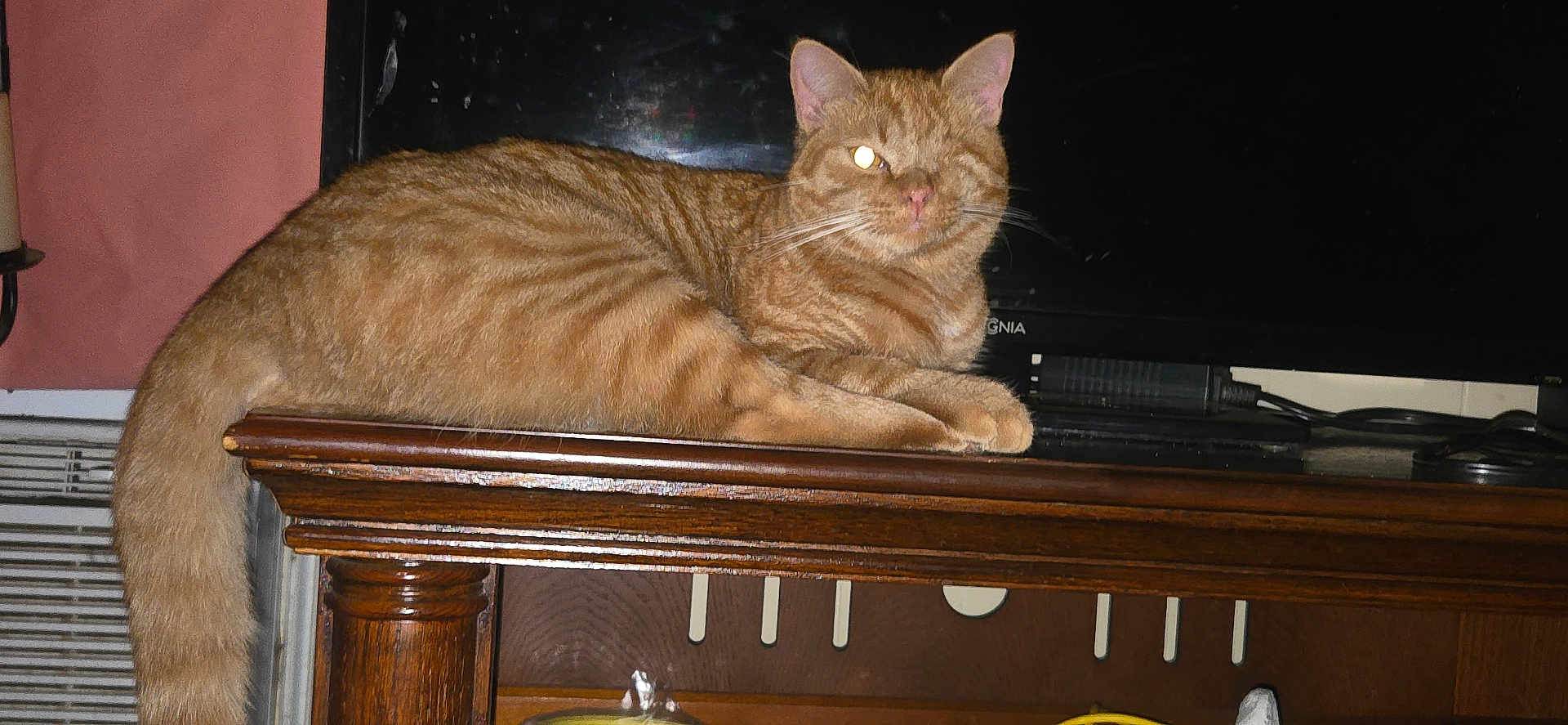 Spunky