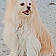 Princess