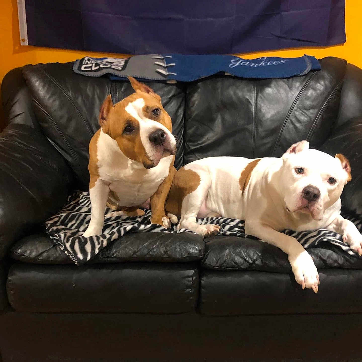 Knucklez And Kyla