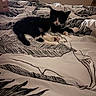 Bowie participe au concours pour gagner de l'argent avec cette photo : cat, tuxedo_cat, black_and_white, pet, animal, feline, lying_down, relaxing, bed, bedroom, blanket, bedspread, zebra_pattern, indoors, home, television, whiskers, paws, tail, cozy