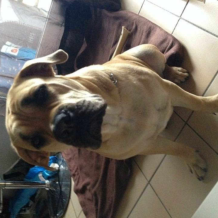 Aiko