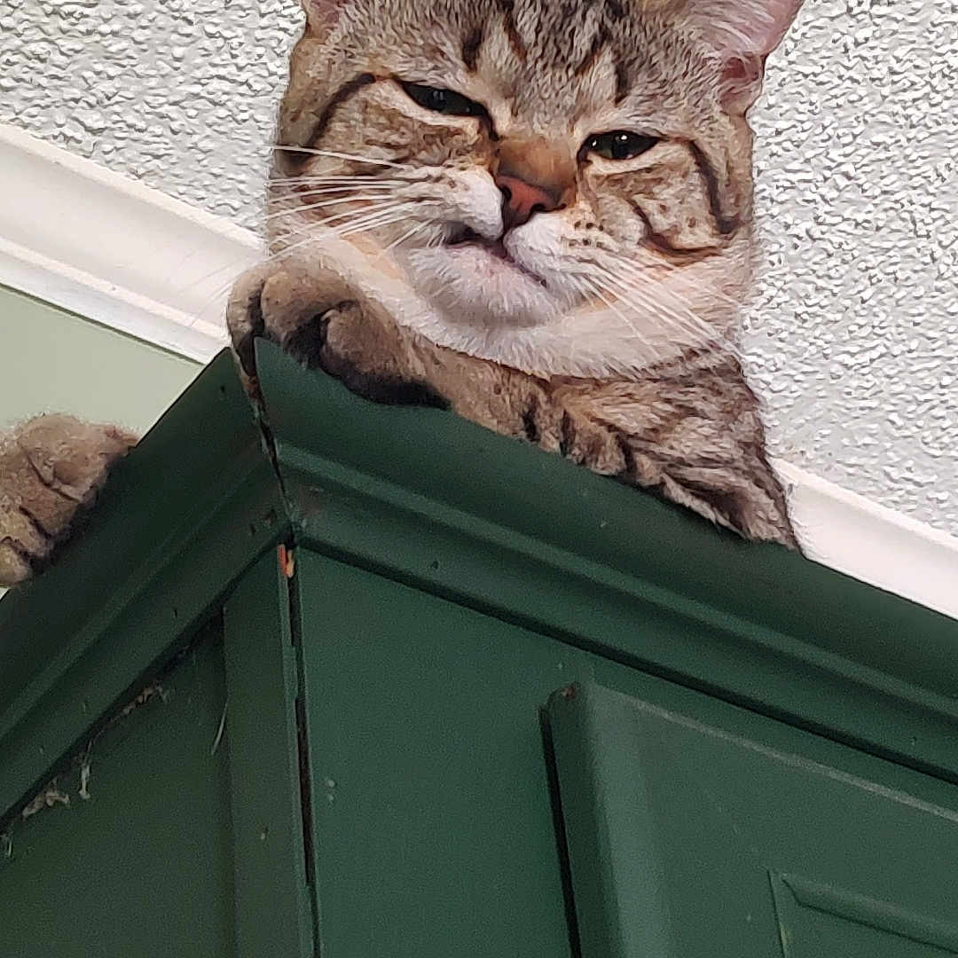 Gilly