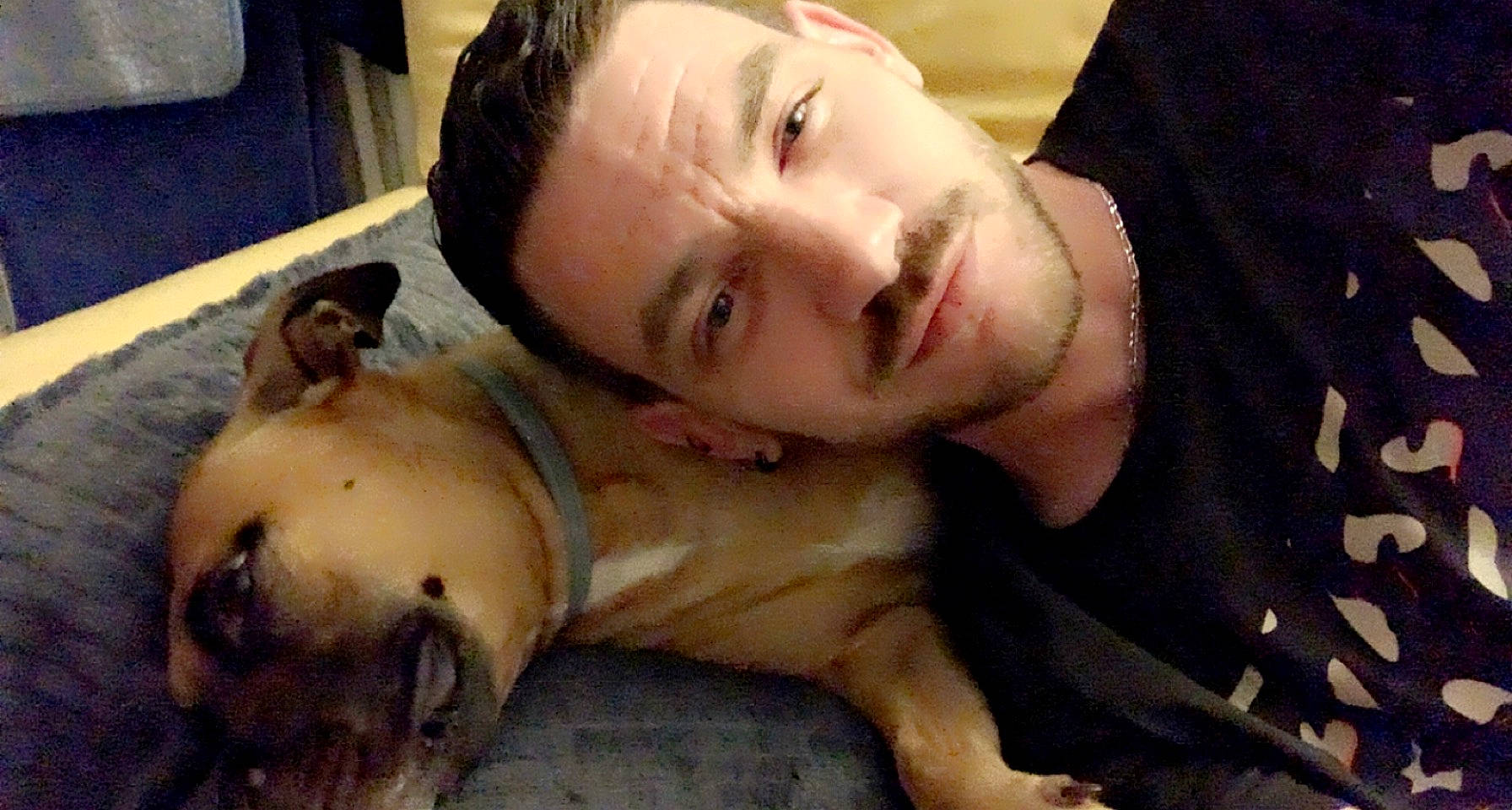 Lana participe au concours pour gagner de l'argent avec cette photo : abdomen, barechested, carnivore, chest, comfort, companion_dog, dog, dog_breed, fawn, flesh, fur, guard_dog, jaw, nap, selfie, sleep, sporting_group, terrestrial_animal, trunk, whiskers