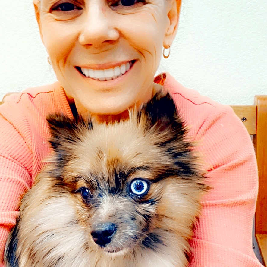 Buddy joined the competition — help win amazing prizes! animal, blue_eyes, casual_clothing, close_up, cute, dog, eyewear_on_head, fluffy_dog, friendly, fur, happy, indoor, long_hair, person, pet, portrait, seated, smiling, warm_colors, woman