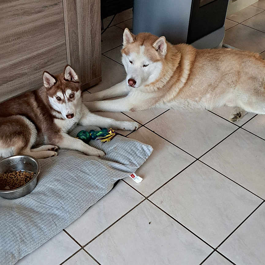 Ooper Et Vaïa