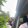 Bella joined the competition — help win amazing prizes! dog, mastiff, large_dog, brown_dog, black_muzzle, tongue, panting, car, car_window, vehicle, road_trip, outdoor, trees, greenery, daylight, passenger, candid, portrait, pet, funny