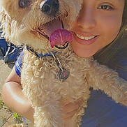 Carmelo is registered to the contest to win money with this photo: dog, person, smile, happy, outdoor, sunlight, pet, tongue_out, curly_fur, collar, close_up, face, portrait, holding, animal, furry, home, daylight, cute, affection
