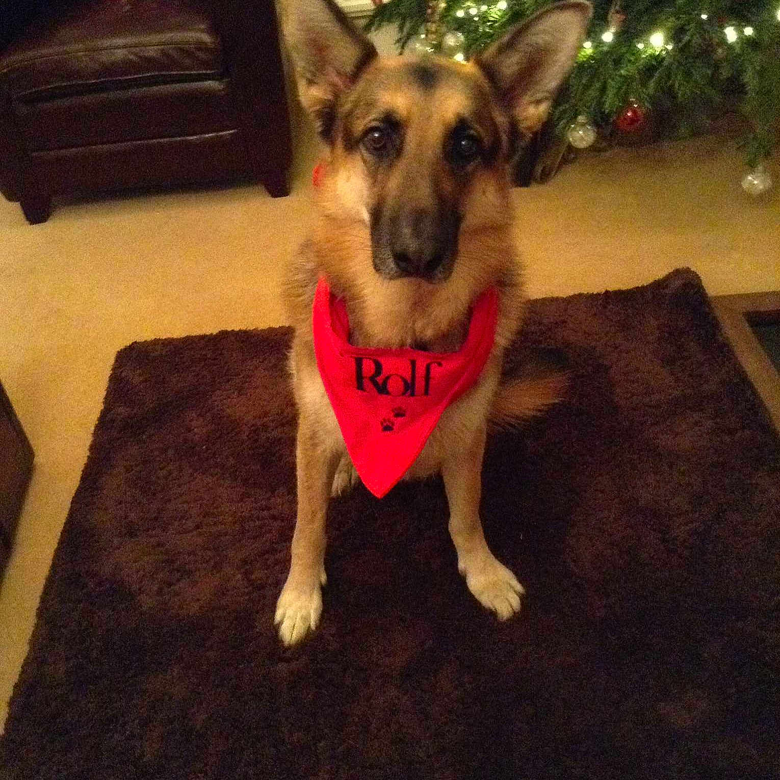 Rolf is registered to the contest to win money with this photo: