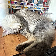 Aslo a rejoint le concours — aidez-le/la à gagner de superbes lots ! cat, sleeping, fluffy, gray_fur, wooden_surface, funko_pop, toys, figurines, disney, marvel, frozen, spiderman, cinderella, elsa, webby, indoor, relaxed, curled_up, pet, cozy