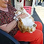 woman, cat, glasses, orange_pants, patterned_shirt, bracelets, chair, playhouse, outdoor, sunlight, happy, pet, relaxing, paw, fur, smiling, seated, playful, casual, comfort