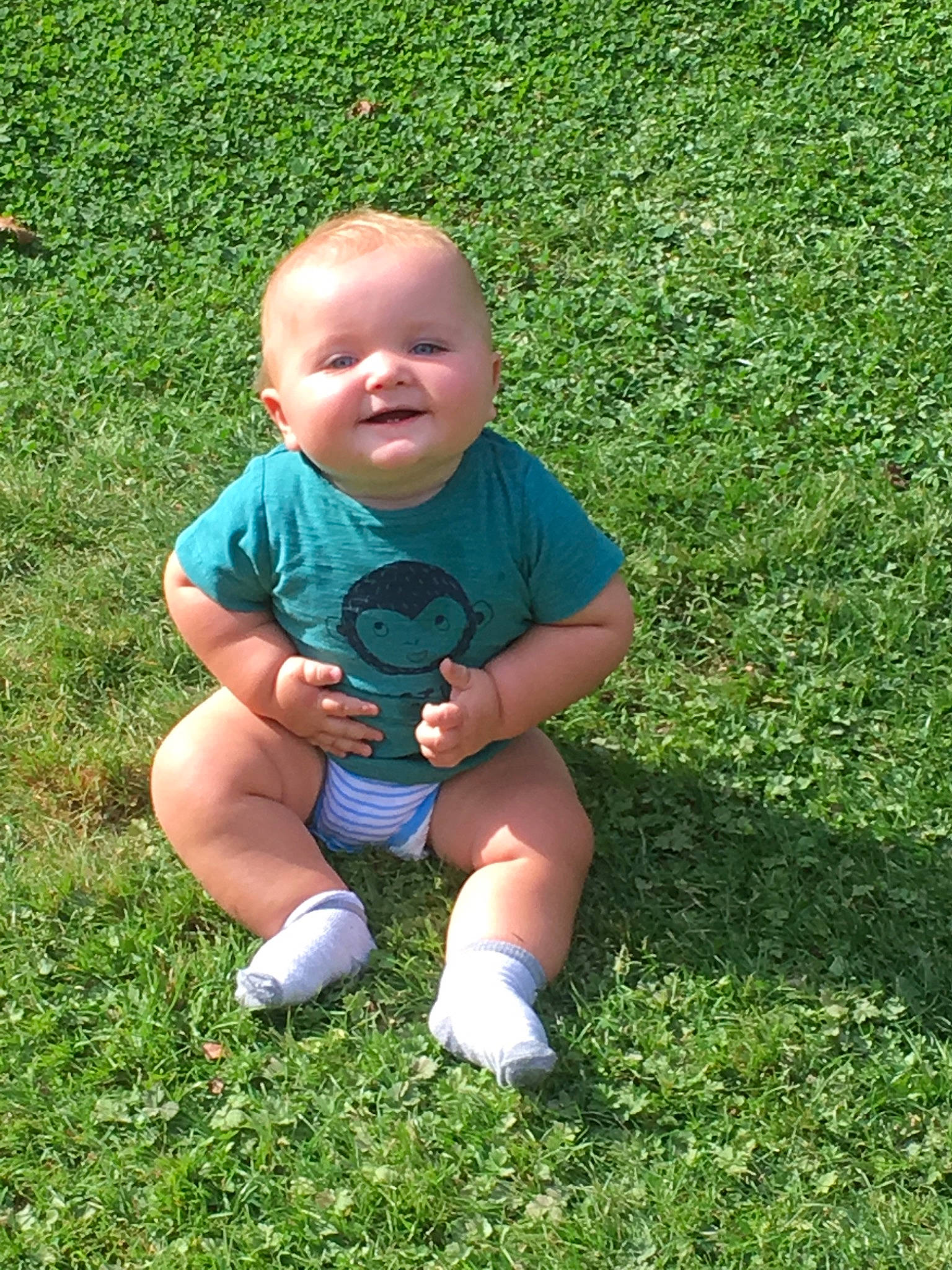 Nélio participe au concours pour gagner de l'argent avec cette photo : baby, child, fun, grass, grass_family, green, lawn, meadow, person, plant, play, sitting, smile, summer, toddler