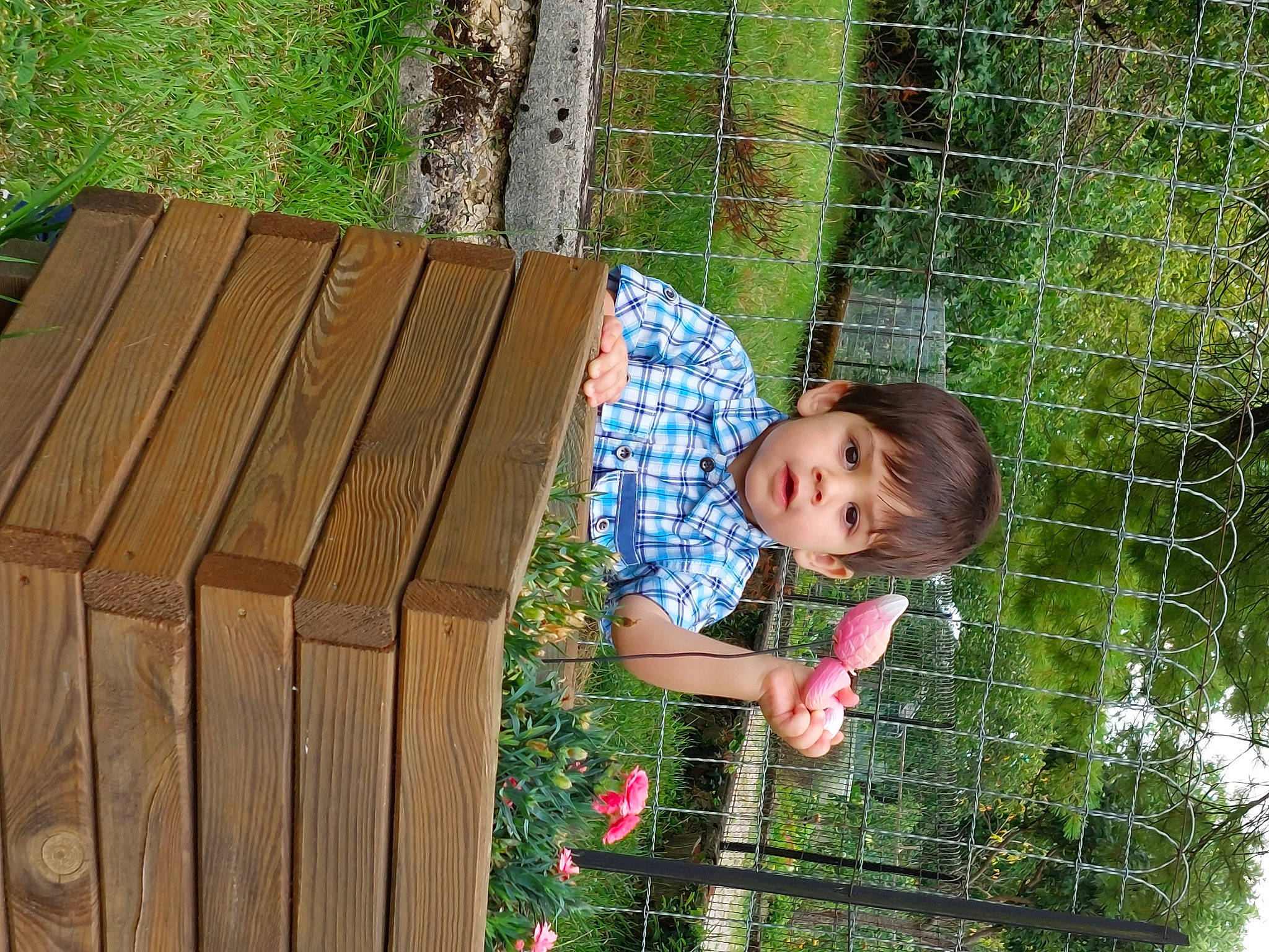 Ashley participe au concours pour gagner de l'argent avec cette photo : baby_toddler_clothing, botany, child, fun, garden, grass, happy, leaf, leisure, mesh, outdoor_furniture, people_in_nature, person, plant, recreation, sitting, spring, toddler, tree, wood