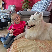 Angèle participe au concours pour gagner de l'argent avec cette photo : child, girl, dog, white_dog, glasses, pink_shirt, jeans, living_room, floor, couch, plant, pillow, table, window, smile, pet, home, casual, happy, indoor