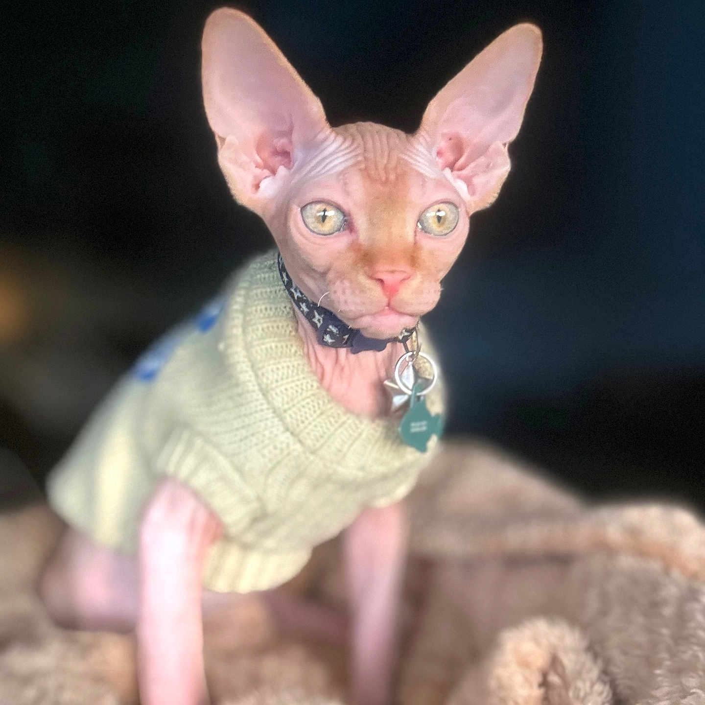 Binx