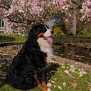 Vaiko participe au concours pour gagner de l'argent avec cette photo :