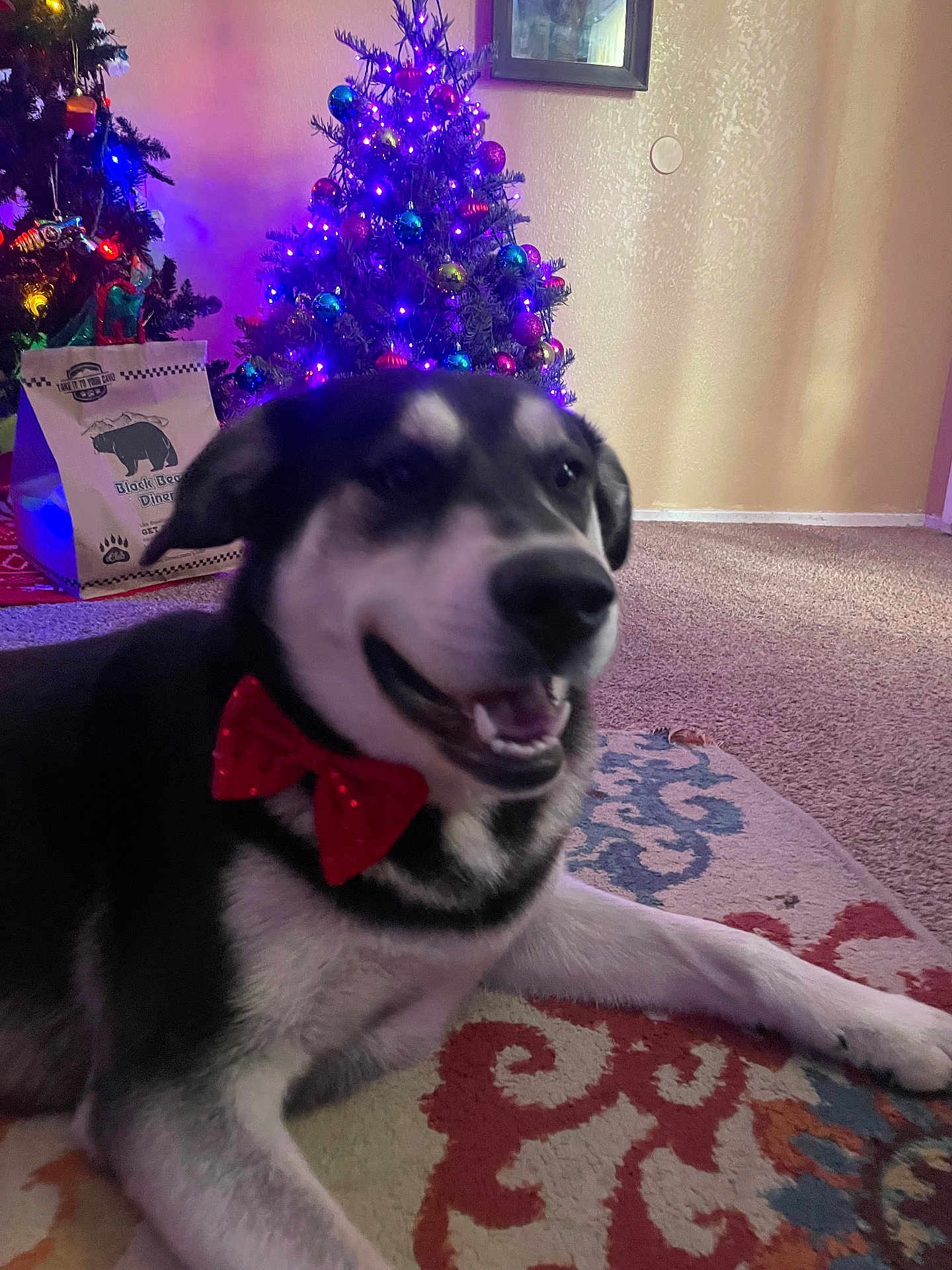 Winston
