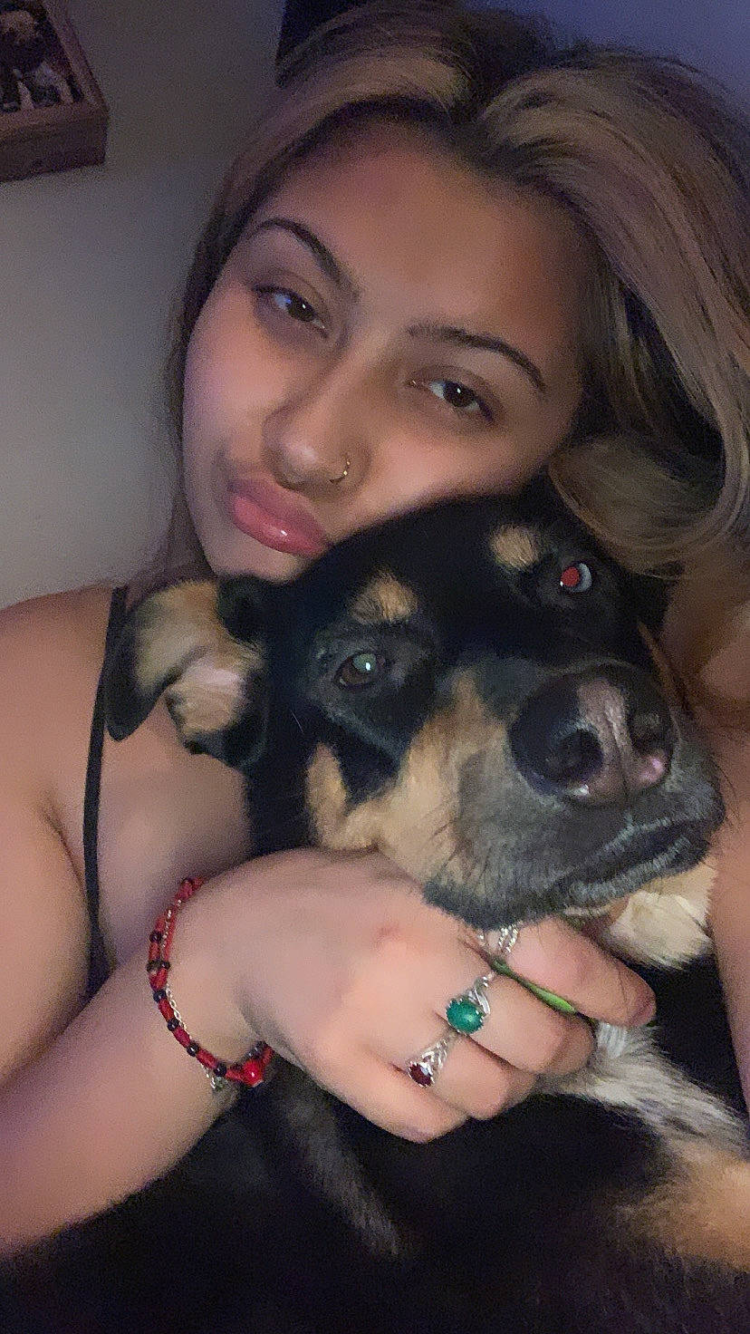 Savannah is registered to the contest to win money with this photo: black_hair, carnivore, companion_dog, dog, dog_breed, ear, eyelash, face, fawn, flash_photography, gesture, hand, happy, jaw, nose, organ, skin, smile, snout, wrist