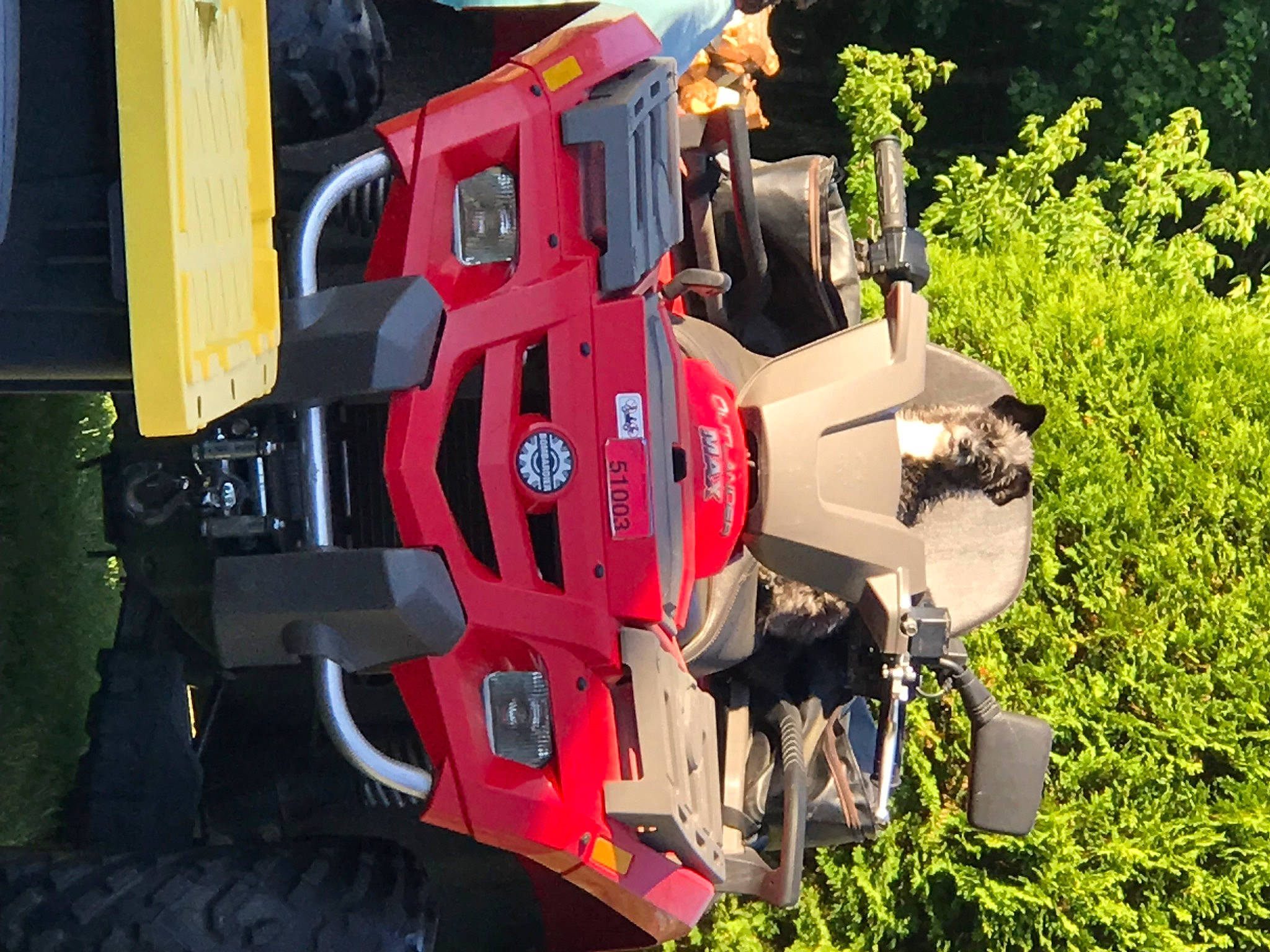 Gizmo joined the competition — help win amazing prizes! automotive_design, automotive_exterior, automotive_lighting, automotive_tire, automotive_wheel_system, bumper, car, commercial_vehicle, fender, grass, landscape, mode_of_transport, motor_vehicle, plant, rolling_stock, tire, tread, tree, vehicle, wheel