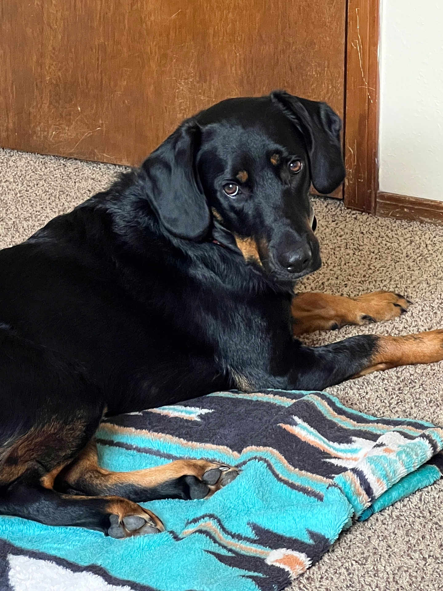 Remington