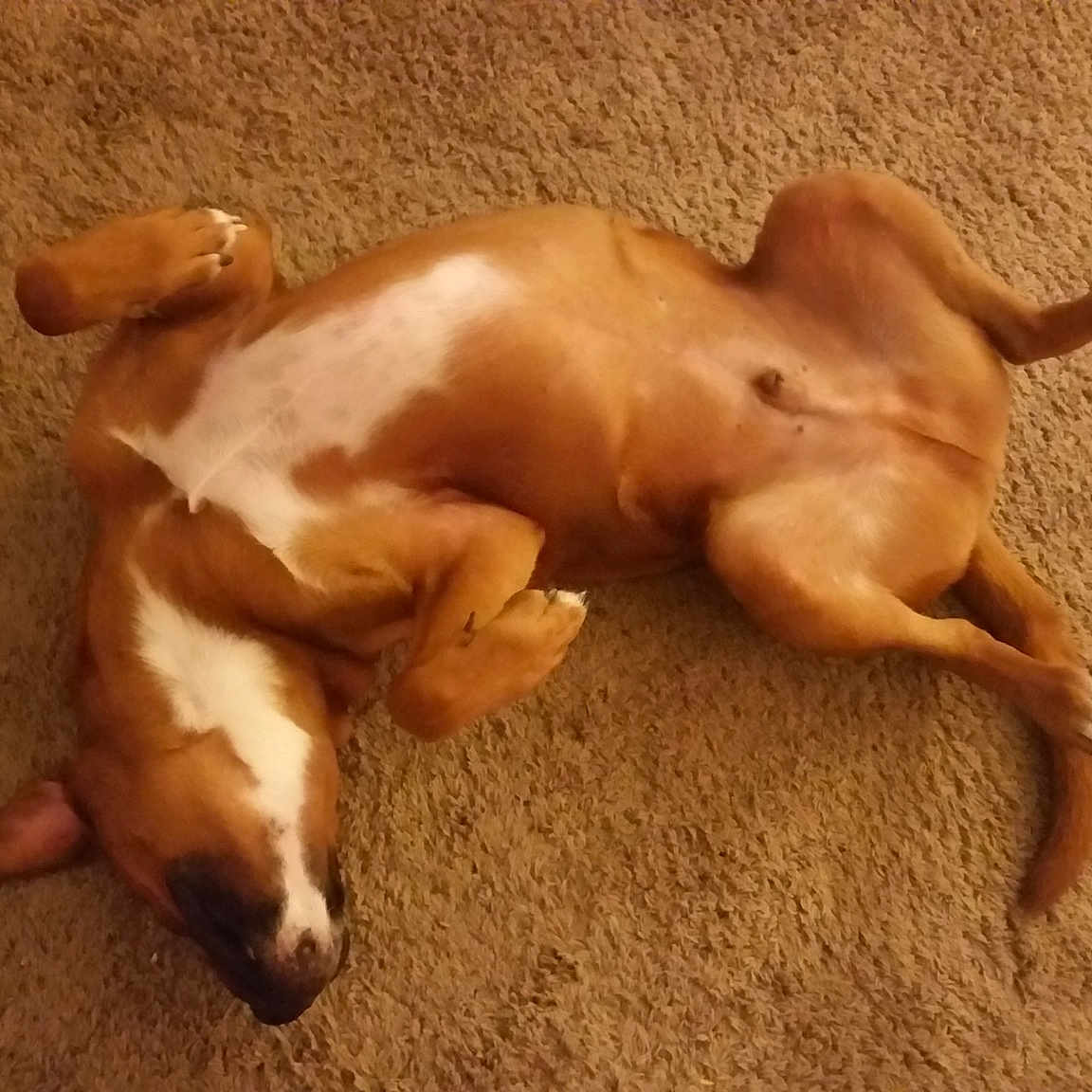 Riley