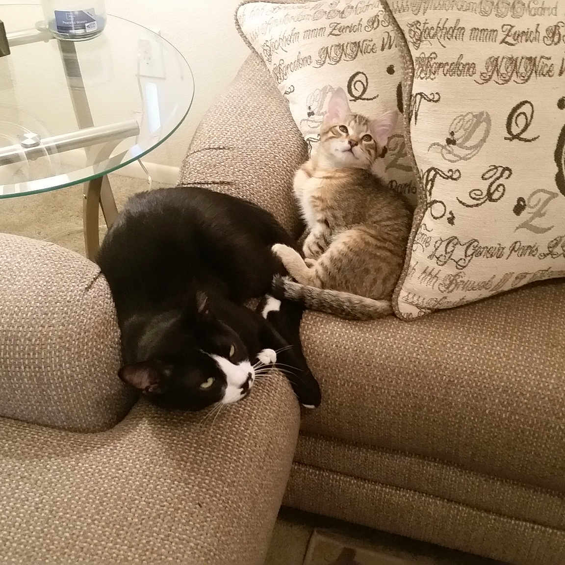 Jack And Eclipse 