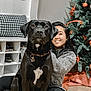 dog, woman, indoor, christmas_tree, ornaments, ribbons, smiling, black_dog, white_patch, bench, cushion, shelf, shoes, floor, wooden_floor, holiday_decor, hugging, pet, festive, happy