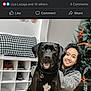 woman, dog, black_dog, indoor, floor, christmas_tree, holiday_decorations, smiling, pet, furniture, shoe_rack, cushion, black_hair, long_hair, casual_clothing, happy, portrait, home, seasonal, festive