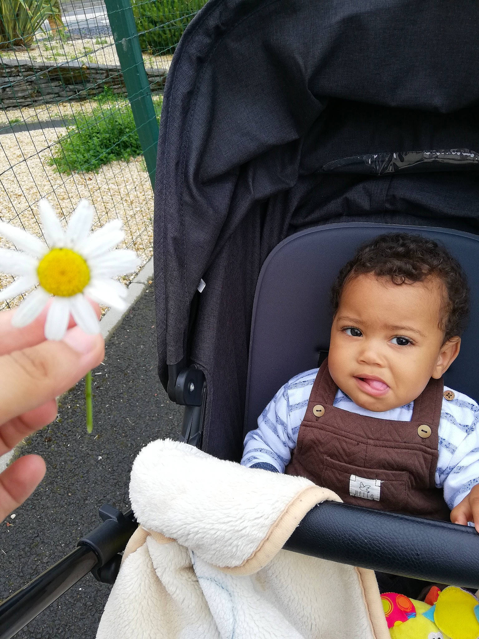 Samaël participe au concours pour gagner de l'argent avec cette photo : baby, baby_carriage, baby_products, baby_safety, baby_toddler_clothing, car_seat, chamaemelum_nobile, cheek, child, comfort, daisy_family, finger, flower, grass, nail, person, petal, plant, sitting, thumb