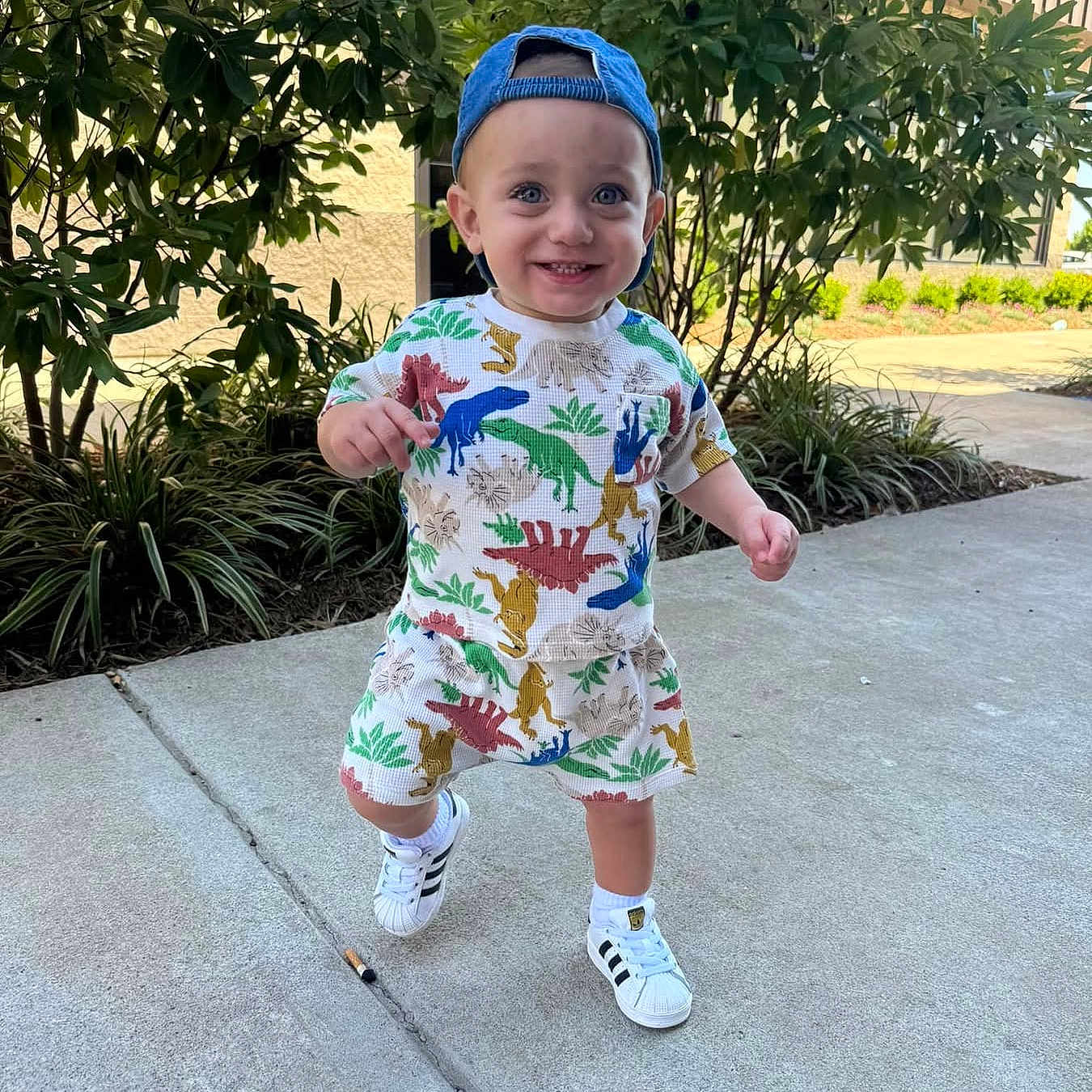 Maverick joined the competition — help win amazing prizes! baby, city, clothing, face, head, nature, outdoors, person, photography, plant, portrait, pottedplant, road, sitting, sleeve, standing, street, summer, urban, yard