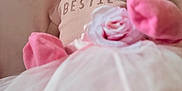 Kiya joined the competition — help win amazing prizes! baby, newborn, sleeping, pink, headband, flower, blanket, soft, cozy, infant, closeup, portrait, cute, peaceful, tulle, clothing, delicate, rest, toddler, child