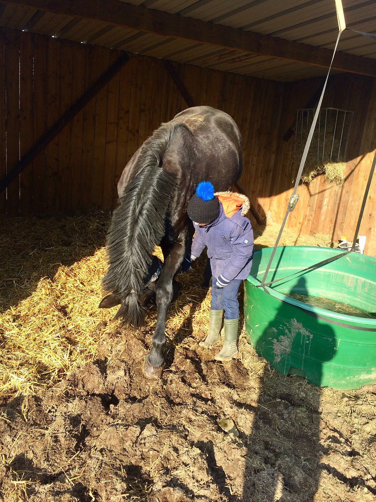 Thaïs Du Rosay a rejoint le concours — aidez-le/la à gagner de superbes lots ! plant, soil