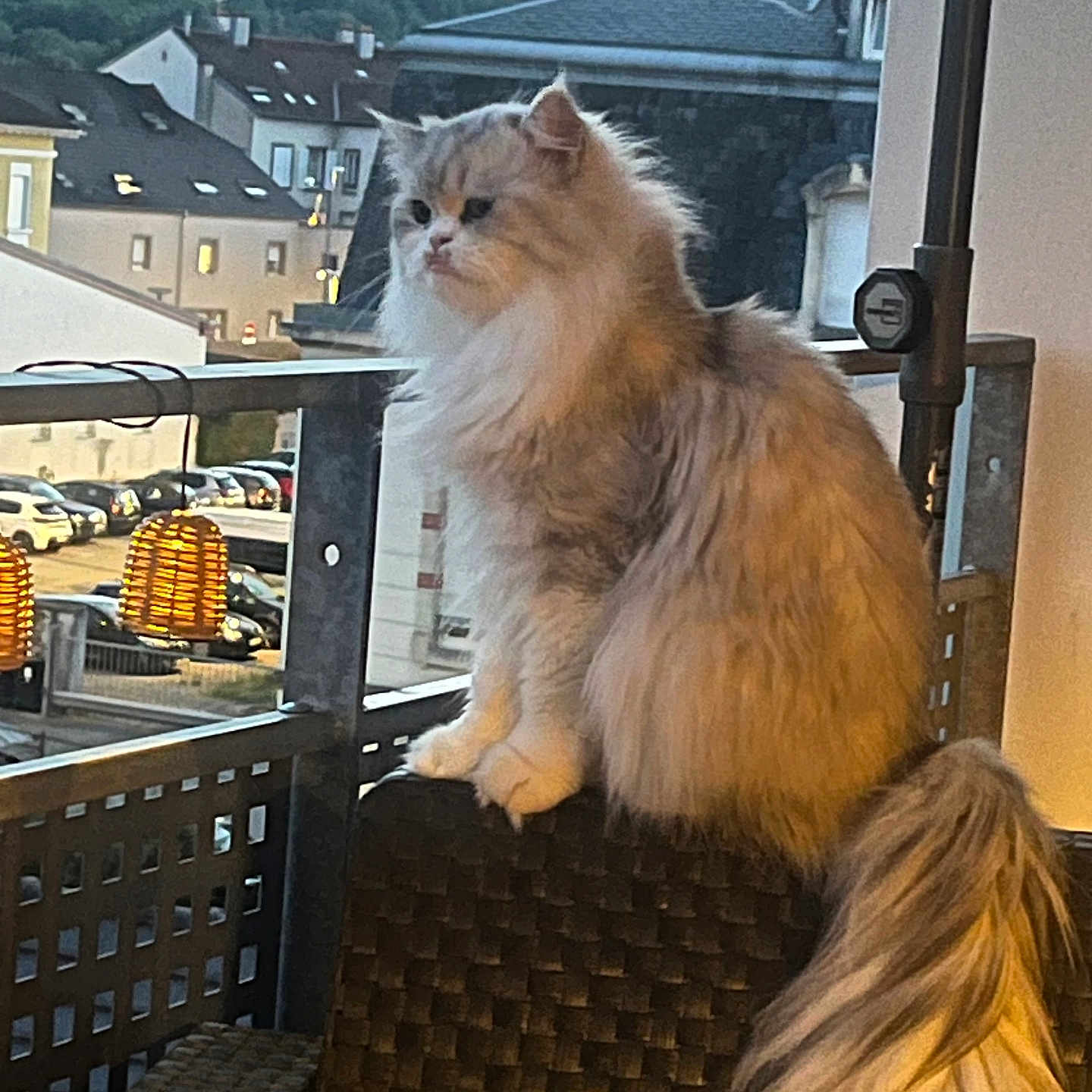 Filou