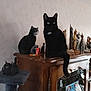cat, black_cat, wooden_cabinet, figurines, decorations, indoor, feline, soft_lighting, homedecor, animal, pet, sitting, eyes, tail, furniture, collection, statues, cozy, domestic, curious